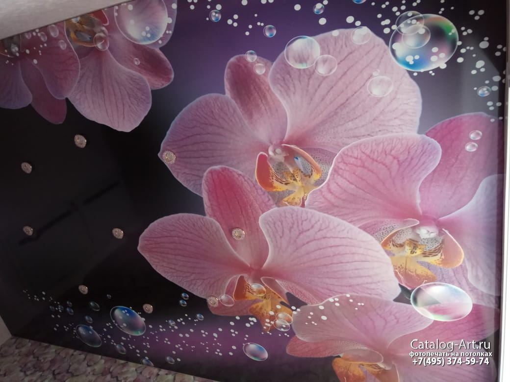 Натяжной потолок с фотопечатью для зала - Орхидеи. Фото с объекта. Волгоград.
